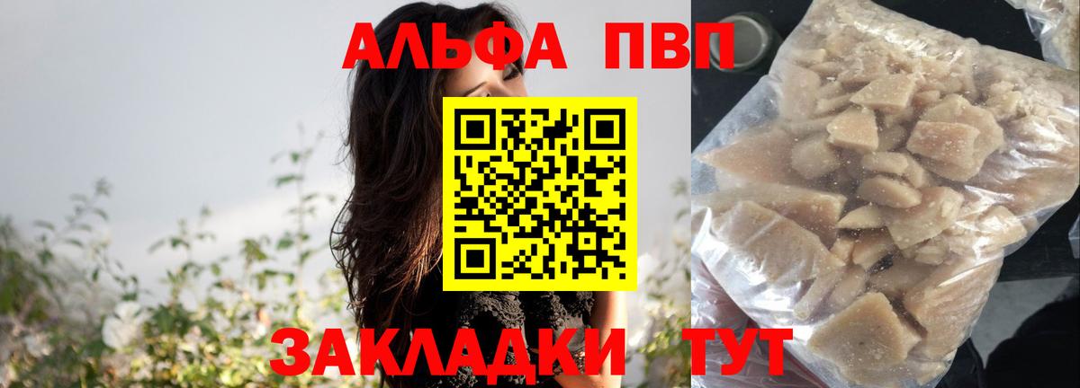 A PVP СК Шадринск