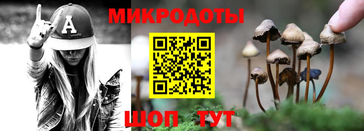 Галлюциногенные грибы Psilocybe Шадринск