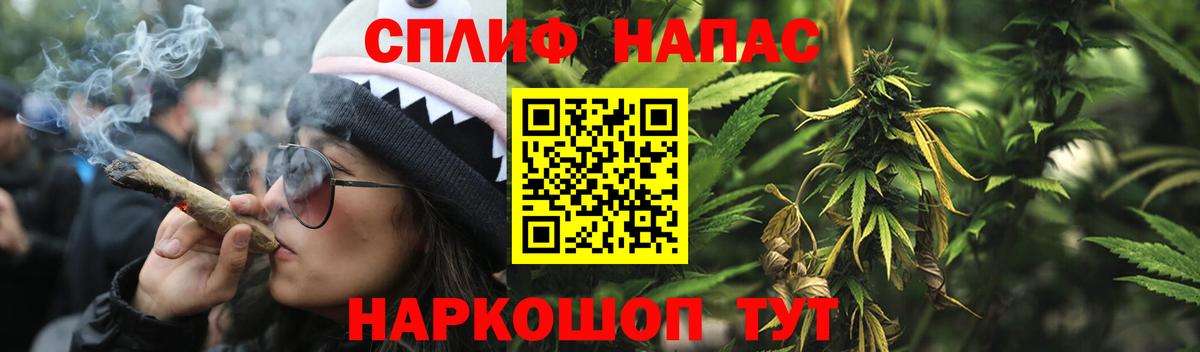Шишки марихуана сатива Шадринск